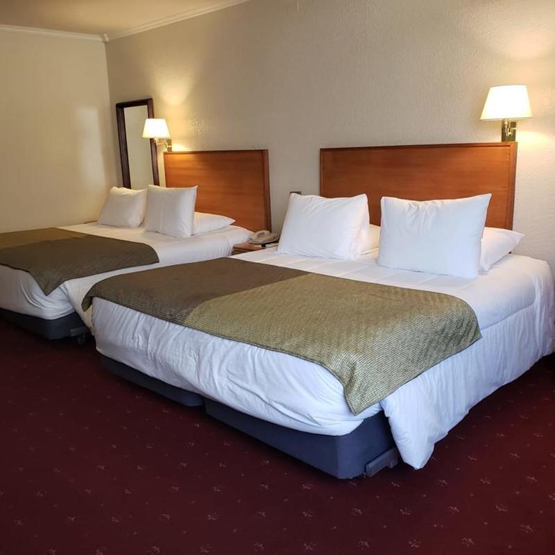Hotel Gavina Express أريكا المظهر الخارجي الصورة